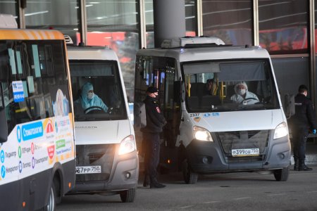 Более 180 граждан доставили до дома из аэропорта Шереметьево